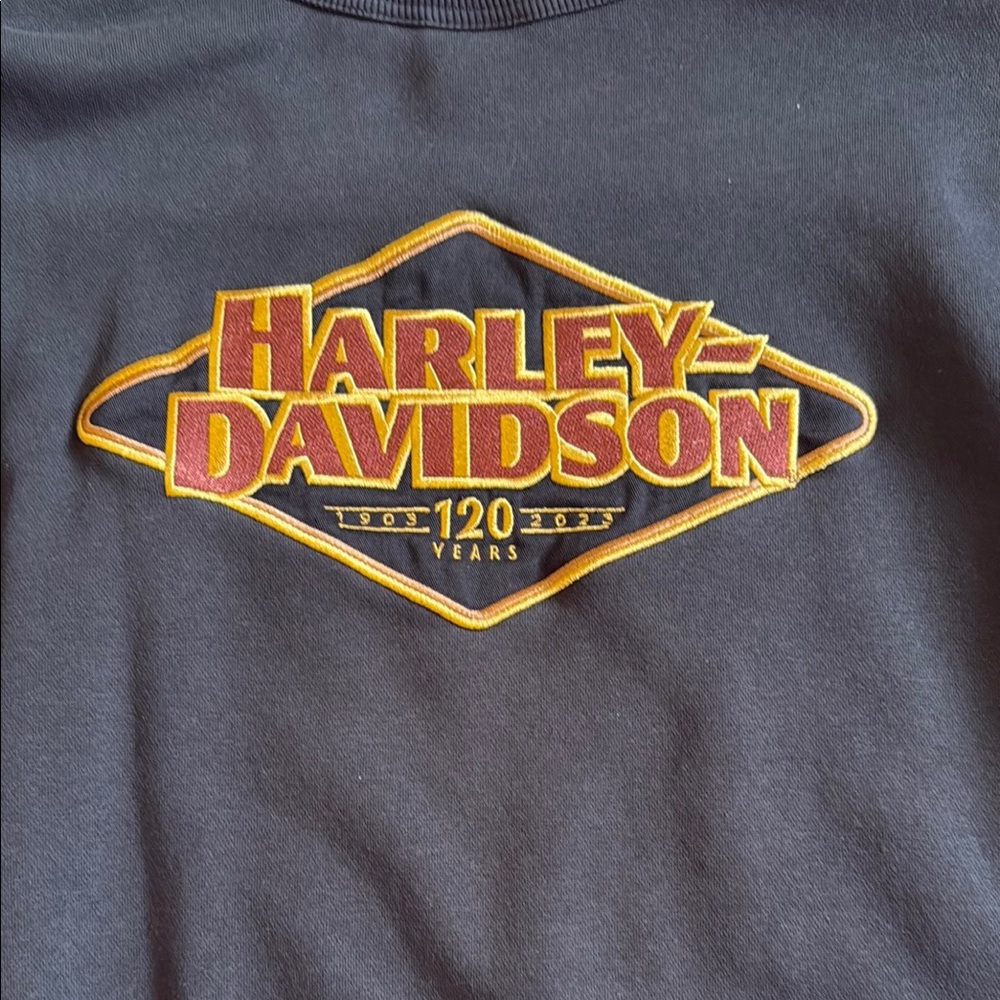Harley-Davidson 120th Anniversary Crew Neck Sweatshirt - Picture 5 of 8